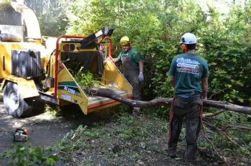 tree services Heber Springs